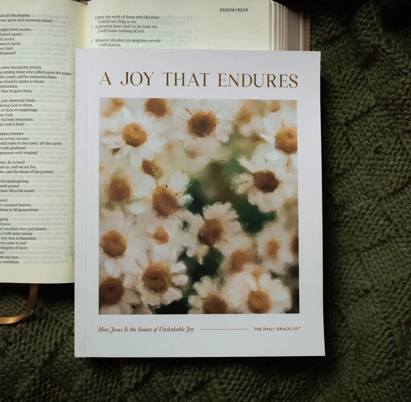 A Joy That Endures Devotional