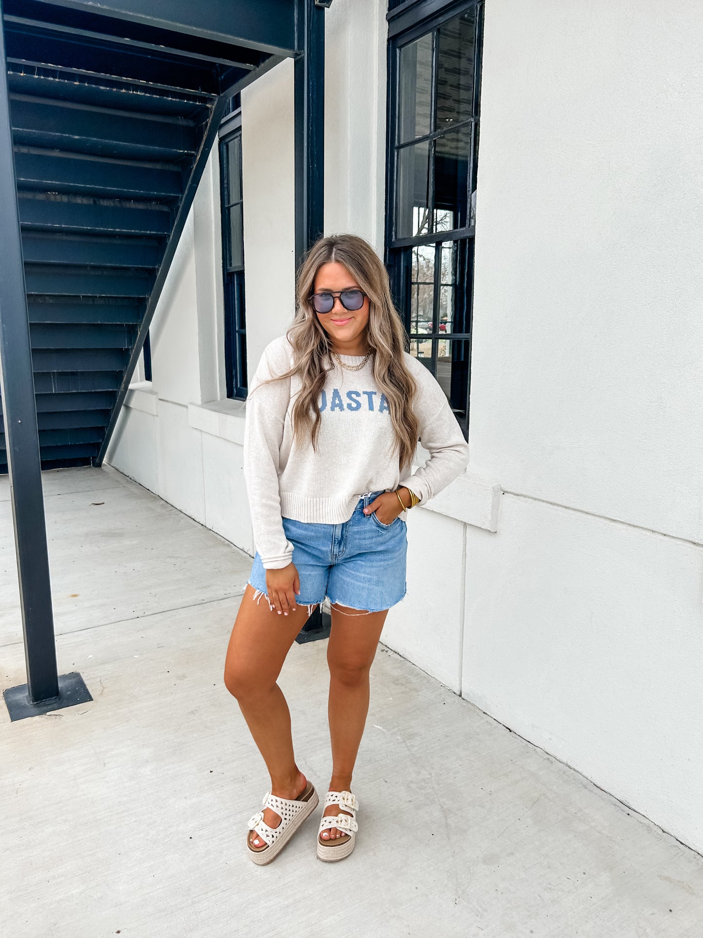 ZSUPPLY Sienna Coastal Sweater