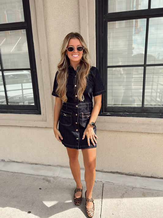 Z supply - Crush Denim Mini Dress
