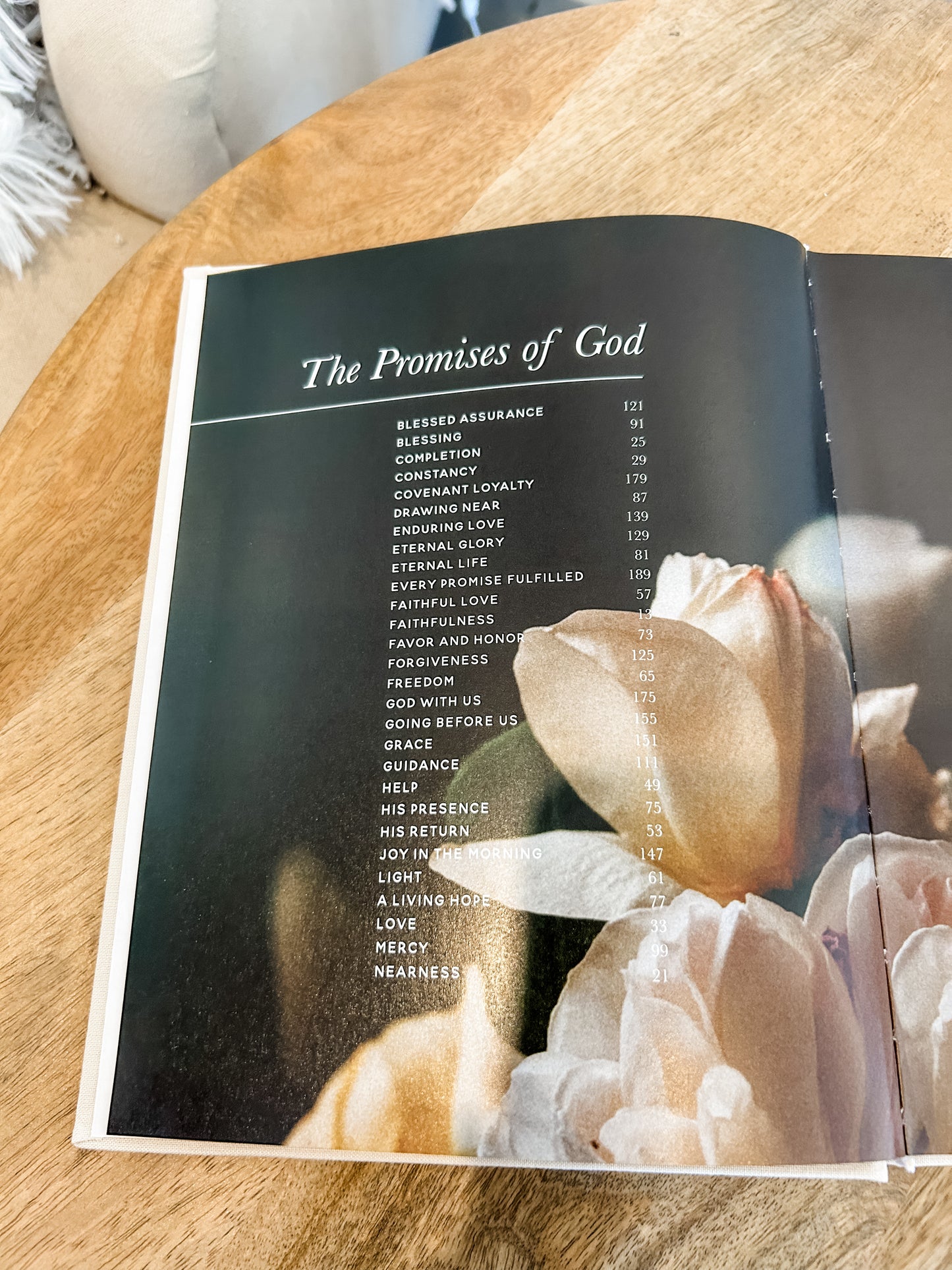The Promises of God Devotional
