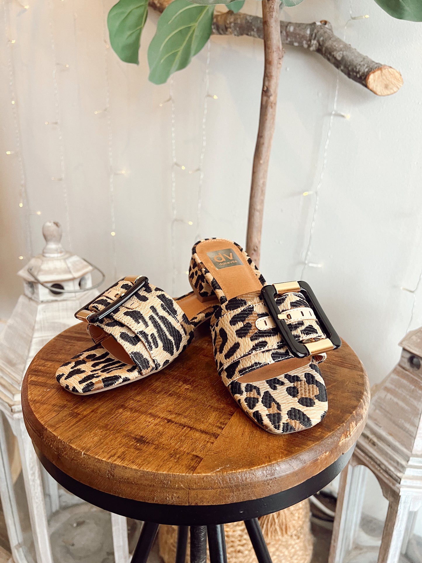 DV Neeva Leopard