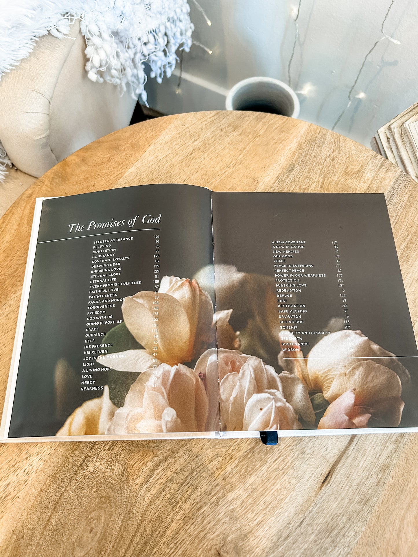 The Promises of God Devotional