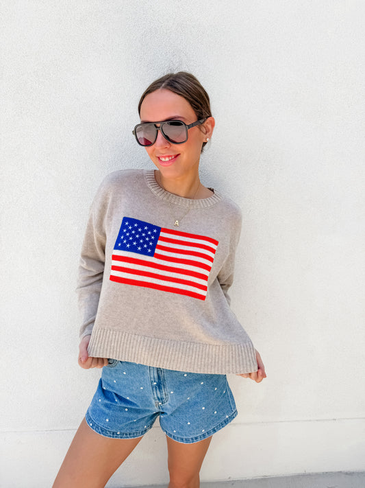 ZSUPPLY Sienna Patriot Sweater