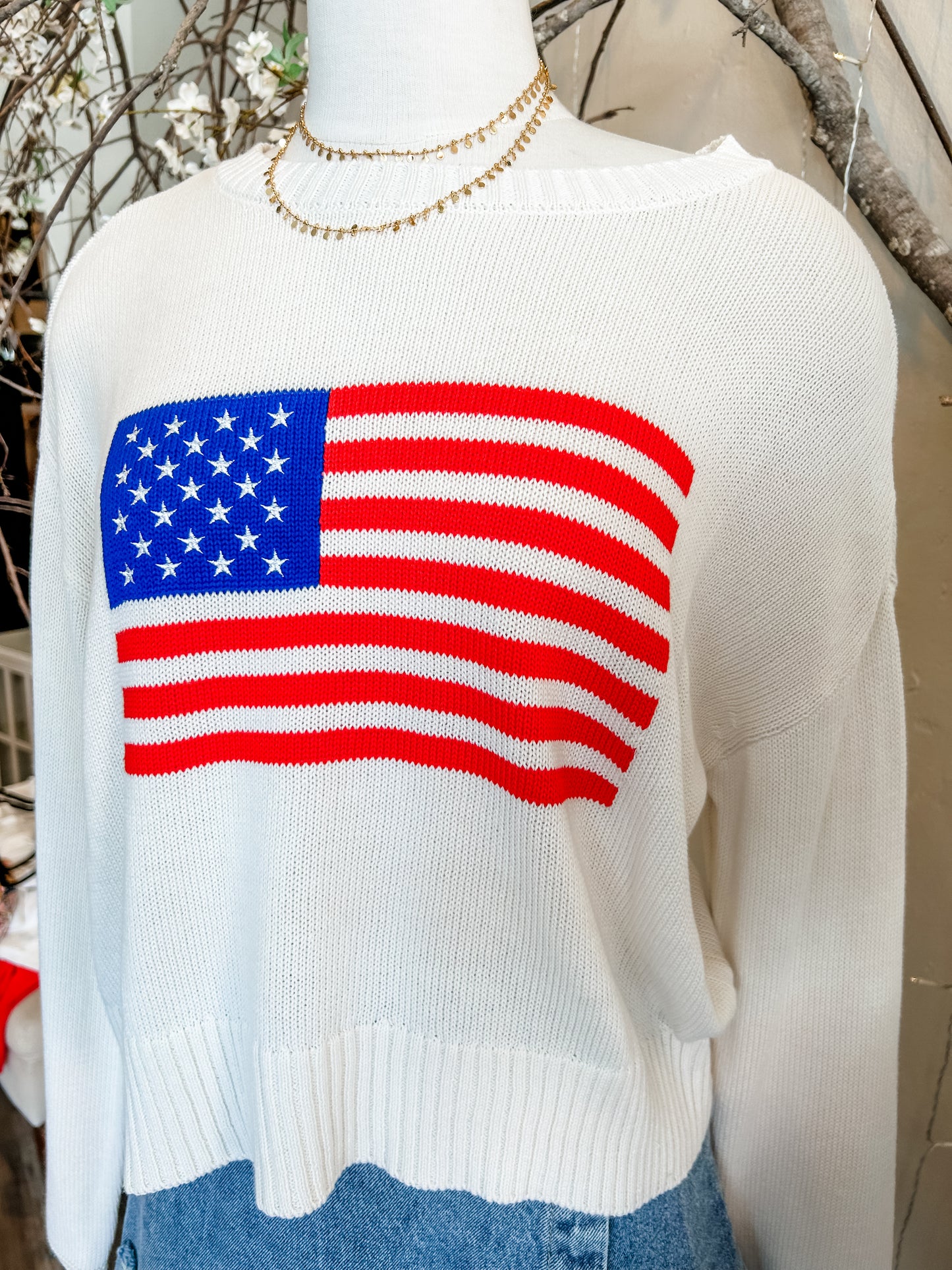 Z Supply Sienna Patriot Sweater